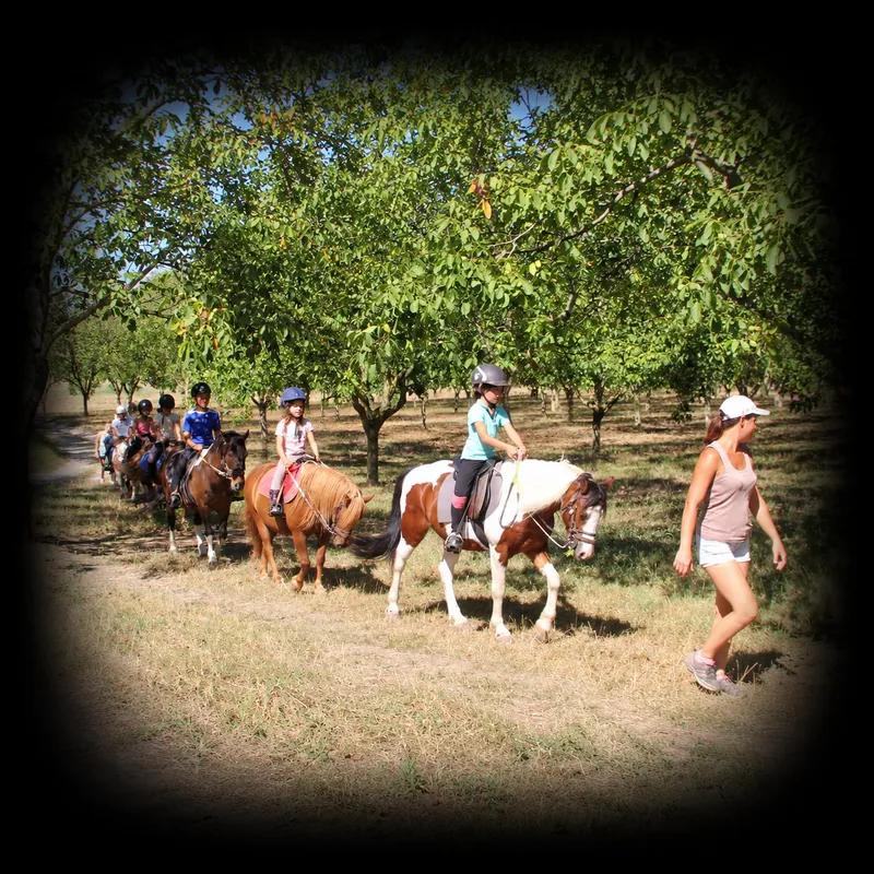Colonies de vacances à cheval de 7 à 10 ans dans la Drome 26