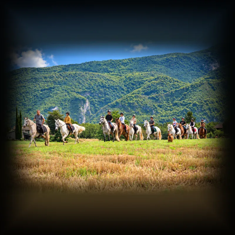 Colonies de vacances équestre